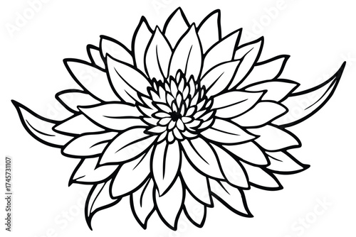 Black and White Outline Image of a Flower with Many Petals and Center Detail