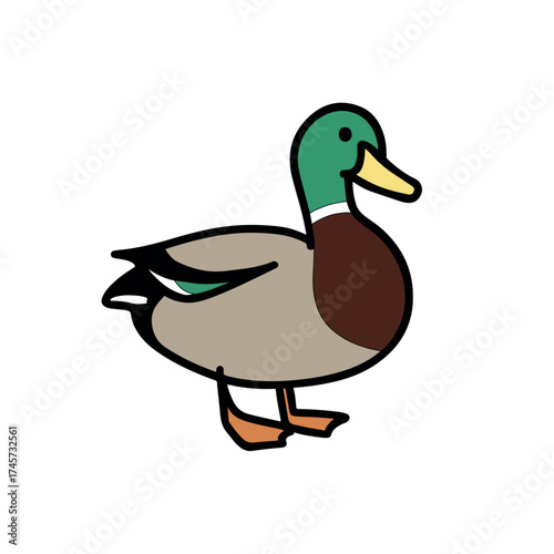 Cute Cartoon Mallard Duck Vector Illustration