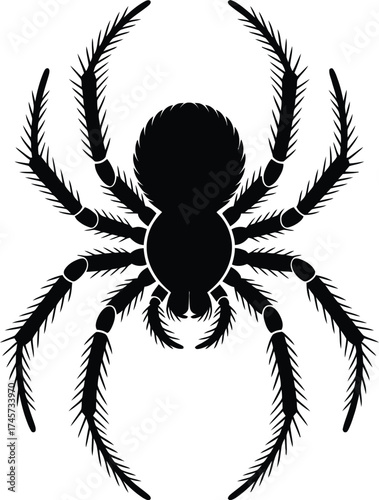 Detailed black spider illustration with eight legs on transparent background silhouette