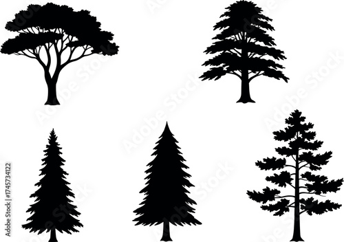Silhouette collection of diverse tree species including coniferous and deciduous forms for nature, forest, botanical, and landscape design themes.