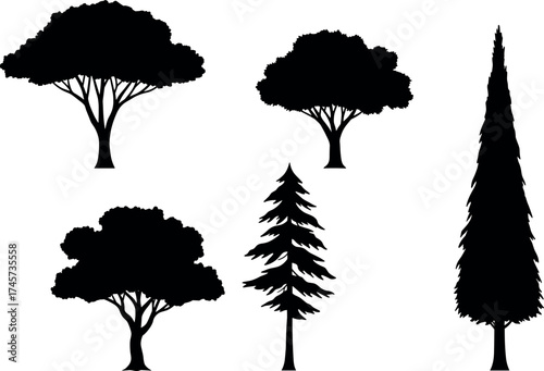 Silhouette set of five different tree shapes isolated on white background for nature, landscape, botany, and educational design use.