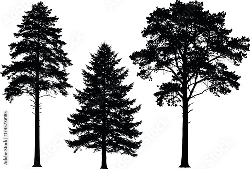 Silhouette set of three different tree shapes isolated on white background, perfect for nature, forestry, landscape, and botanical design themes.