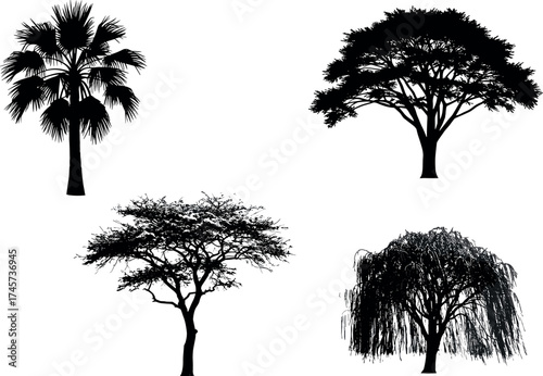Silhouette set of tropical, deciduous, and ornamental trees with diverse canopy shapes for landscape, nature, and botanical design themes