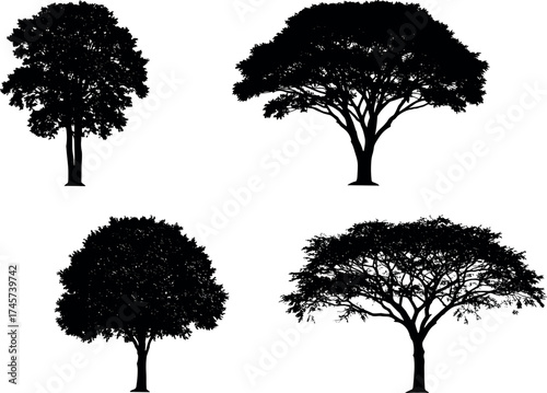 Silhouette tree collection with diverse canopy shapes and branching styles for nature, landscape, botany, and environmental design illustrations