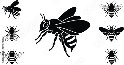 A set of stylized black and yellow illustrations depicting the life cycle of bees, from flowers and beehives to honey.