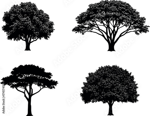 Silhouette tree collection with diverse canopy shapes, isolated black vector trees for nature, landscape, forest, and botanical design themes