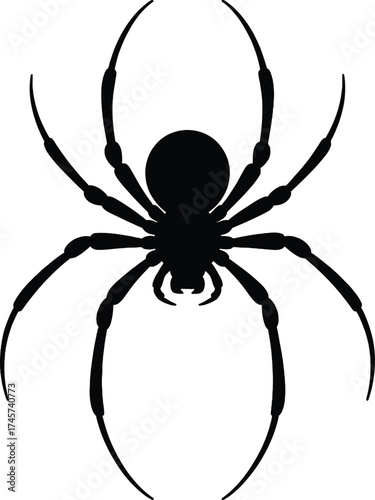 Black spider graphic design element perfect for halloween on transparent background silhouette