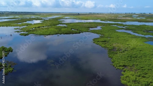Aerial drone view of Florida swamp wetlands and marsh landscape
