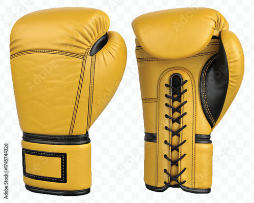 realistic 3d boxing gloves front and back with black view in different color style isolated on transparent background
