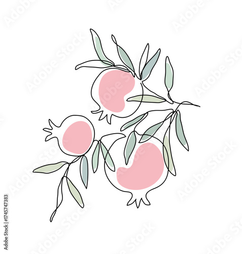 Branch with pomegranates and leaves. Shana Tova. Modern single line art drawing. Continuous line drawing. Vector illustration