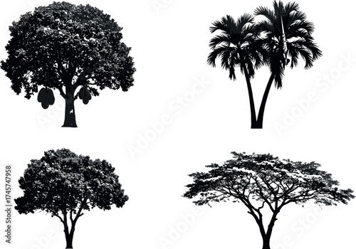 Silhouette tree collection with tropical, deciduous, and acacia varieties for botanical, landscape, nature, and educational vector illustration design use.