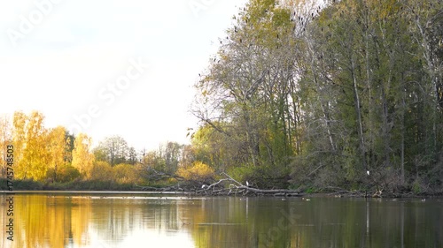 autumn trees reflected in water