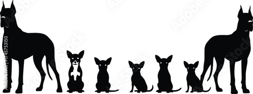 Dog silhouettes in lineup, Great Dane and Chihuahua contrast, black vector pets, isolated animal graphic, cad drawing flat vector illustration