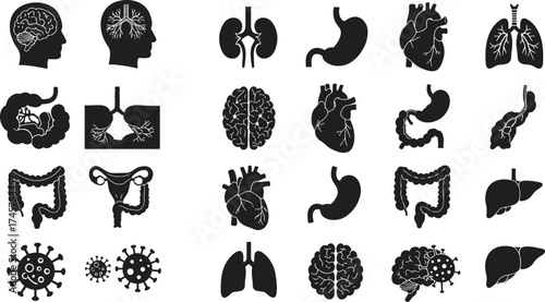 Human organ silhouette icon set, anatomy symbols, brain, heart, lungs, stomach, virus, black vector, flat design, cad drawing