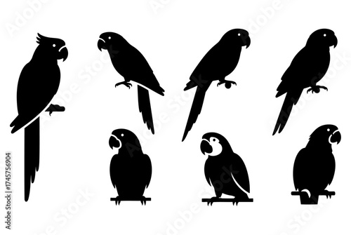Parrot bird silhouette collection