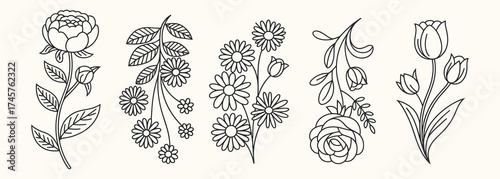 A charming collection of minimalist line art floral illustrations showcasing hand-drawn peonies, daisies, roses, and tulips with leaves.