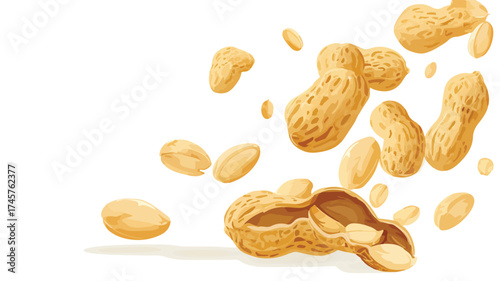 Fresh Peanuts in Shells Falling, Nutritious Snack Food - Vector Illustration