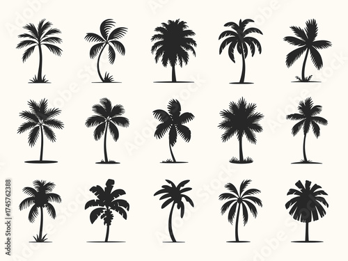A diverse collection of tropical palm tree silhouettes depicts exotic beach and summer vacation themes.