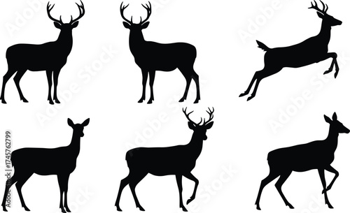 Silhouette deer collection with male and female variations, antler diversity, wildlife poses, zoological illustration, taxonomy reference, nature art
