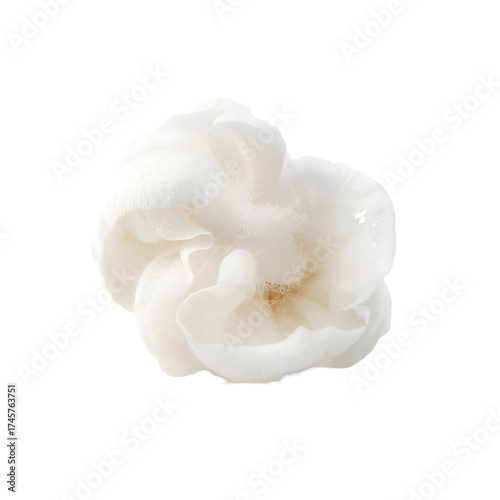 cotton swabs isolated on white background