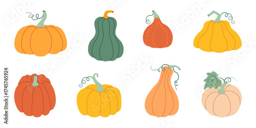 Pumpkin set. Pumpkin and squash different colors and sizes. Hand drawn trendy flat style isolated on transparent background. Thanksgiving, farm harvest. Vector illustration