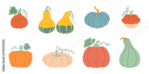 Pumpkin set. Pumpkin and squash different colors and sizes. Hand drawn trendy flat style isolated on transparent background. Thanksgiving, farm harvest. Vector illustration