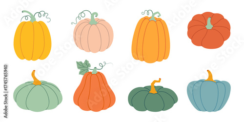 Pumpkin set. Pumpkin and squash different colors and sizes. Hand drawn trendy flat style isolated on transparent background. Thanksgiving, farm harvest. Vector illustration