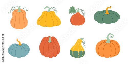 Pumpkin set. Pumpkin and squash different colors and sizes. Hand drawn trendy flat style isolated on transparent background. Thanksgiving, farm harvest. Vector illustration