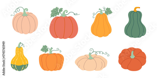 Pumpkin set. Pumpkin and squash different colors and sizes. Hand drawn trendy flat style isolated on transparent background. Thanksgiving, farm harvest. Vector illustration