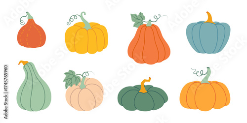 Pumpkin set. Pumpkin and squash different colors and sizes. Hand drawn trendy flat style isolated on transparent background. Thanksgiving, farm harvest. Vector illustration