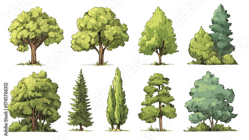 Vibrant Lush Green Trees Collection in Nature Forest - Plants Ecology Environment