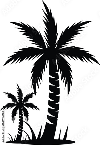Silhouette of two tropical palm trees with grass elements for nature design isolated on white background