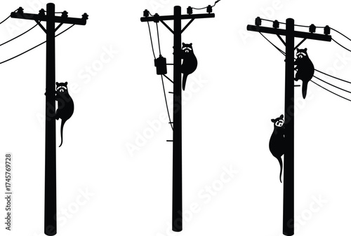 Silhouette utility poles, raccoons climbing, wildlife interaction, bird on wire, power line network, humorous illustration, urban infrastructure, animal behavior, black outline