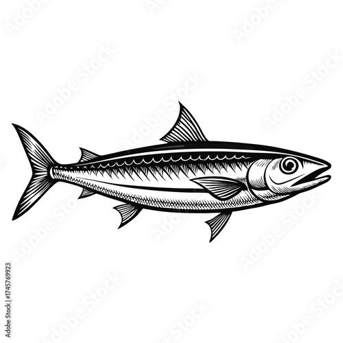 Sardine Side View Vintage Woodcut Engraving Style Vector Illustration
