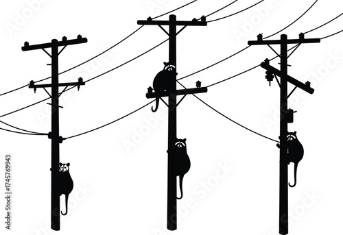 Silhouette utility poles, raccoons climbing, wildlife interaction, power line network, humorous illustration, urban infrastructure, animal behavior, black outline, whimsical design