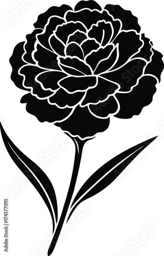 Close up macro shot of vibrant butterfly wings showing intricate patterns and textures detailed natural beauty isolated on transparent background