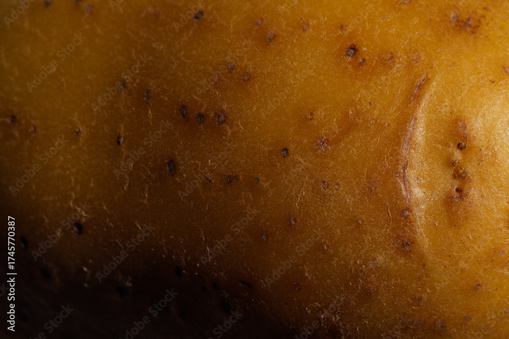 Obraz premium close up of gold potato skin, peel