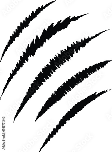 Black claw scratches graphic design element on transparent background silhouette