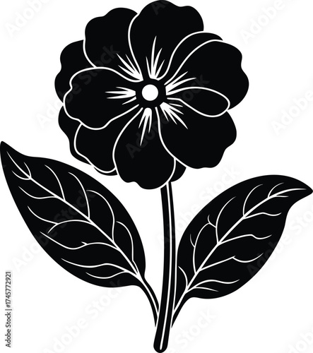 Detailed macro photograph of a single water droplet on a dark surface isolated on transparent background