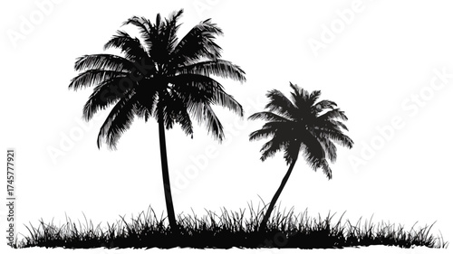 Tropical Palm Trees Silhouette on Grass - Perfect Summer Tranquility