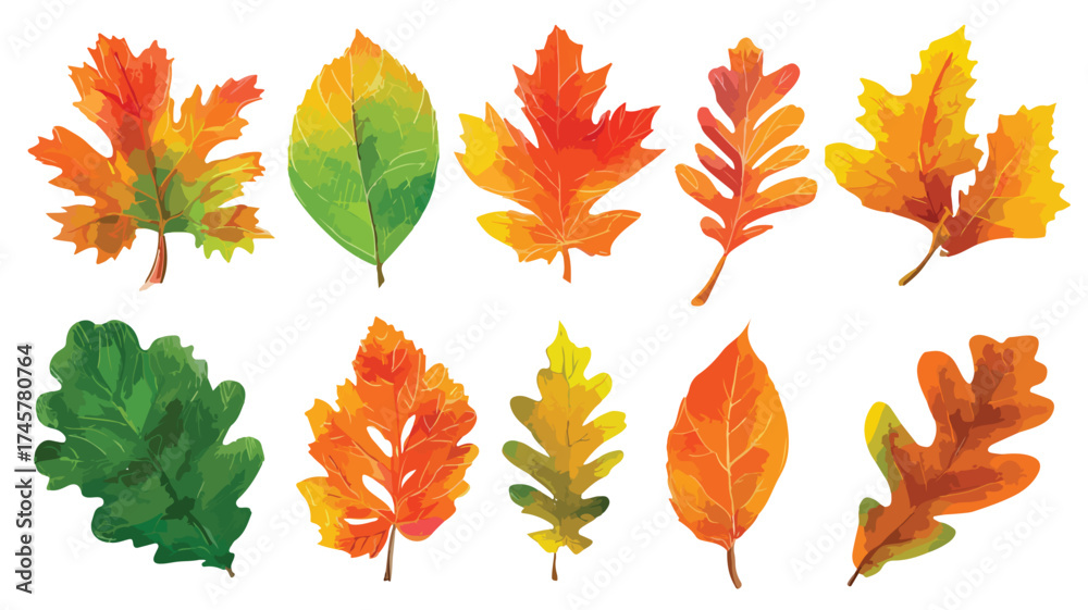 Fototapeta premium Vibrant Autumn Leaves Set with Specified Variety for Creative Projects