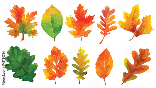 Vibrant Autumn Leaves Set with Specified Variety for Creative Projects