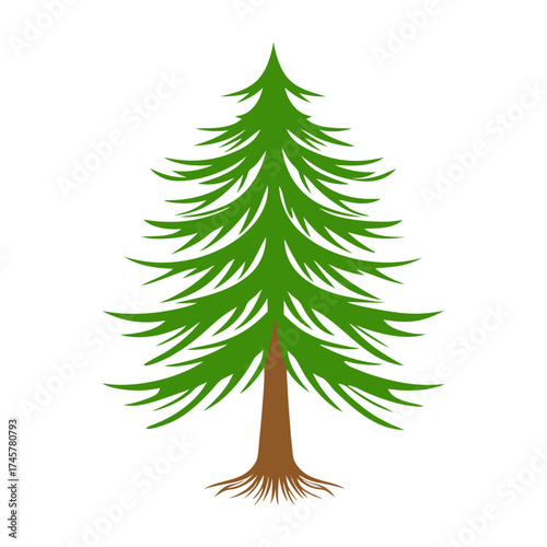 Vibrant green evergreen tree standing tall lush foliage natural forest element