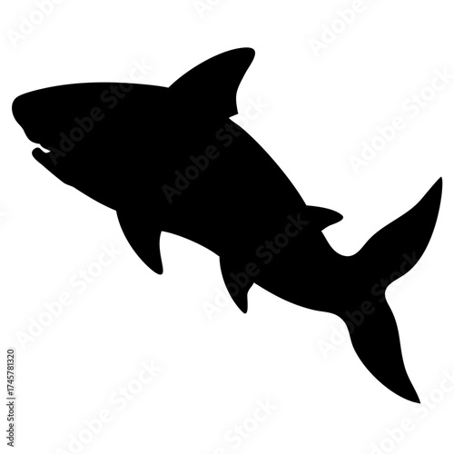 Anchovy Silhouette Minimal Black Vector Small Ocean Fish Illustration
