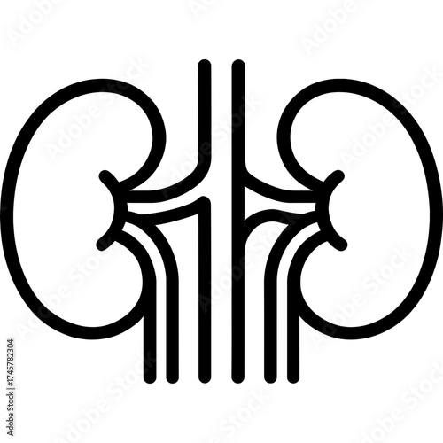 Human kidneys outline icon vector