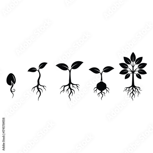 A set of seed sprouting icons featuring sprout, planting, seed germination, and agriculture symbols, presented as isolated vector images in a simple style