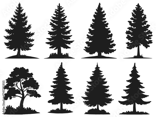 Evergreen tree silhouettes featuring isolated pine fir trees tall coniferous forest elements perfect for seasonal landscape and nature illustration