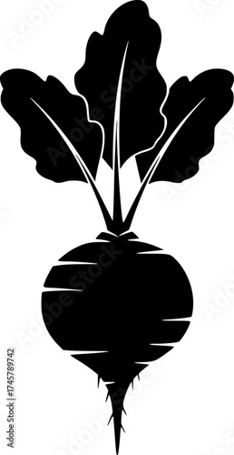 beet with leaves