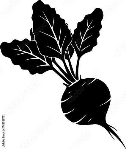 beet with leaves