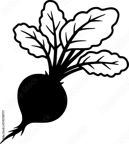 beet with leaves